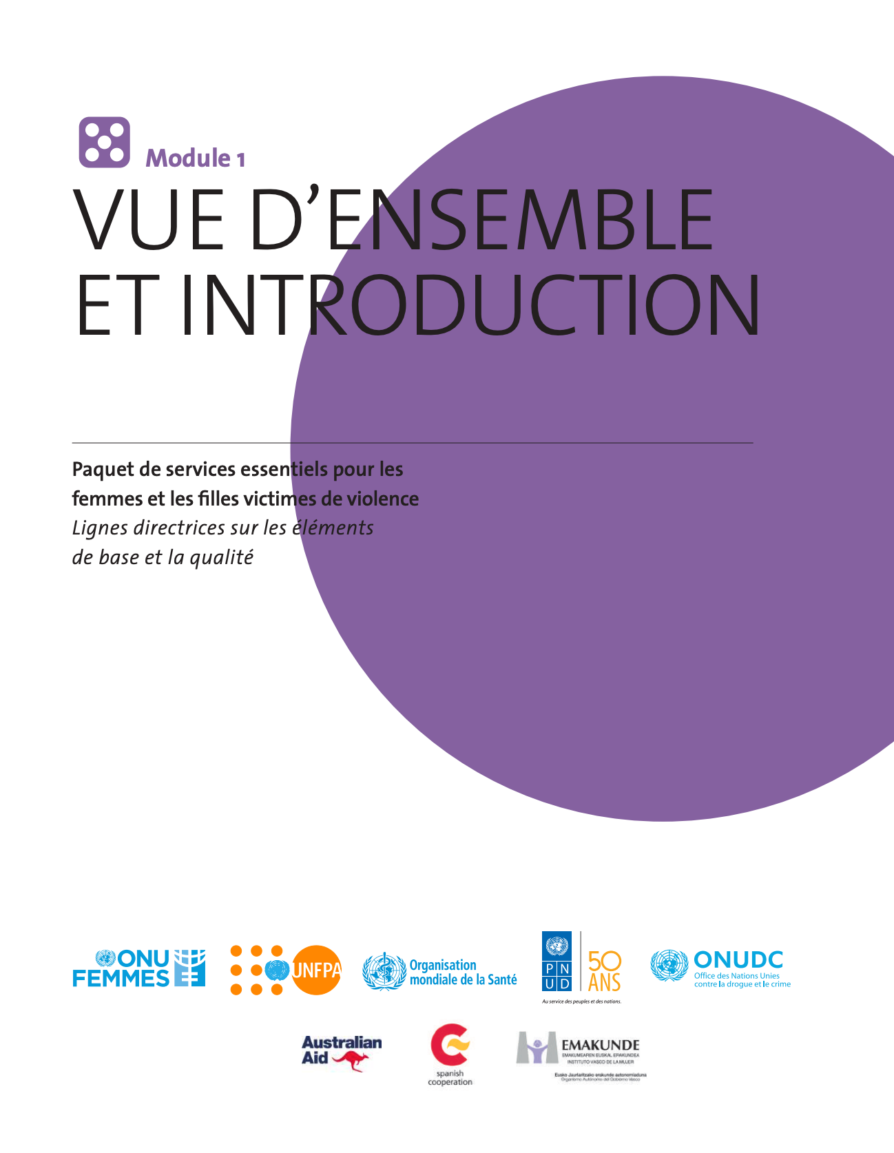 Paquet de services essentiels pour les femmes et les filles victimes de violence