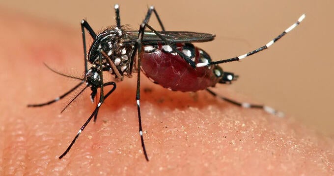 UNFPA closely monitors Zika outbreak, urges access to sexual and reproductive health care and information