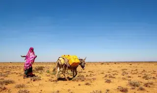 Drought in Somalia forces displacement, posing particular…