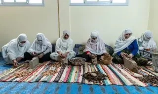 فاطمة والغابة: التعلم من الماضي من أجل مستقبل مزدهر في الريف…