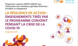 La résilience en action: leçons tirées du programme conjoint…